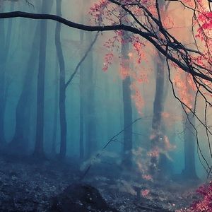 Meet your Posher, Breana